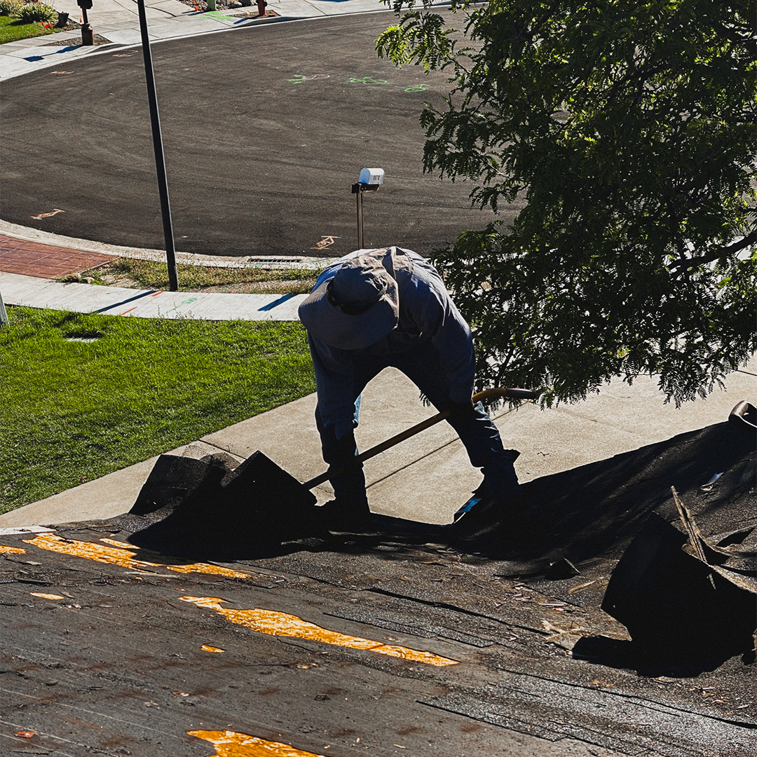 utah roofing